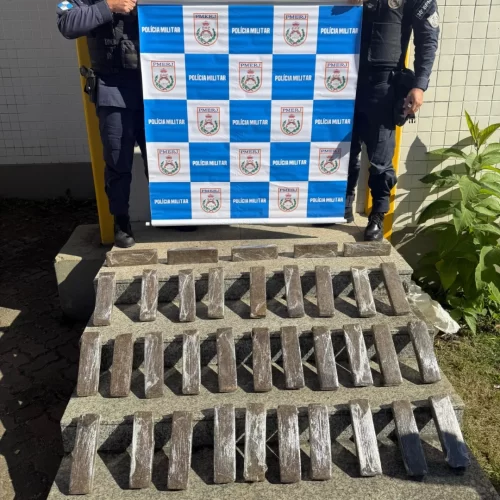 Polícia apreende 47 quilos de maconha em Teresópolis