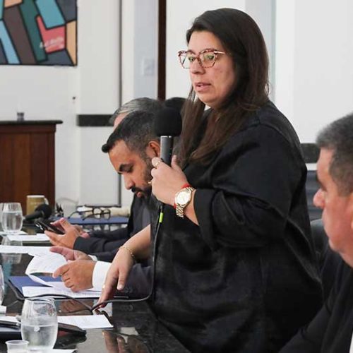 Sessão da Câmara destaca projetos sociais, infraestrutura e combate à violência infantil
