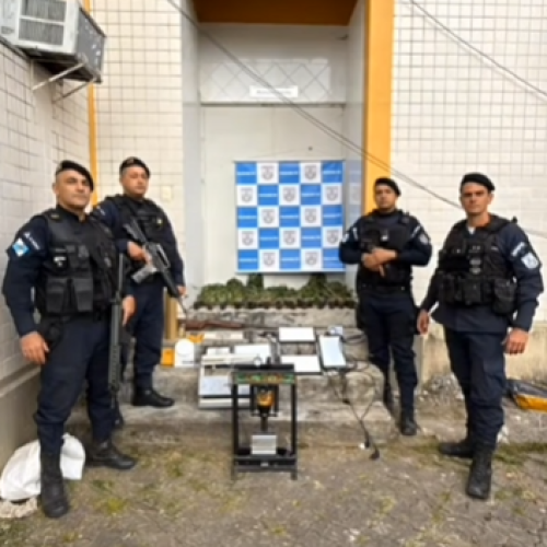 Polícia descobre estufa de maconha e apreende mais de 4 kg de drogas em Teresópolis