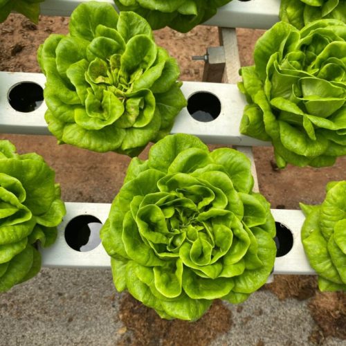 Câmara consegue mais uma vitória na justiça!  Privatizações terão que ter autorização da Câmara Municipal